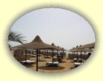 IMG_2007_05_31 12_52_49 * 2272 x 1704 * (415KB)